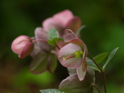 P5060630
