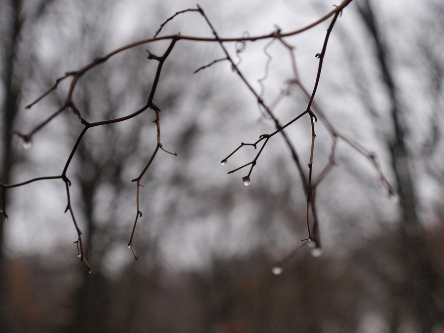 A Damp Day