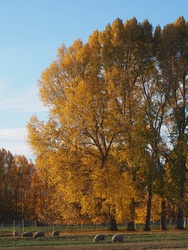 P5082875-E-M5