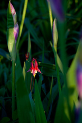 OM-5DmkII + Zuiko Photographs