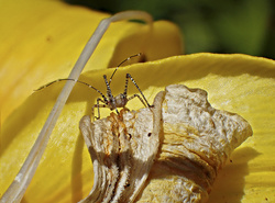 P6130286-87FSoof60