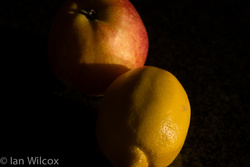 20130126-DSCF0875