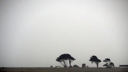 Manchester Beach SP