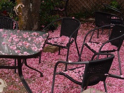 PA244007-cafe-1200