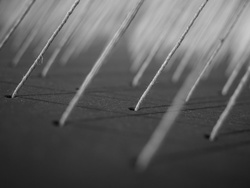 Wires