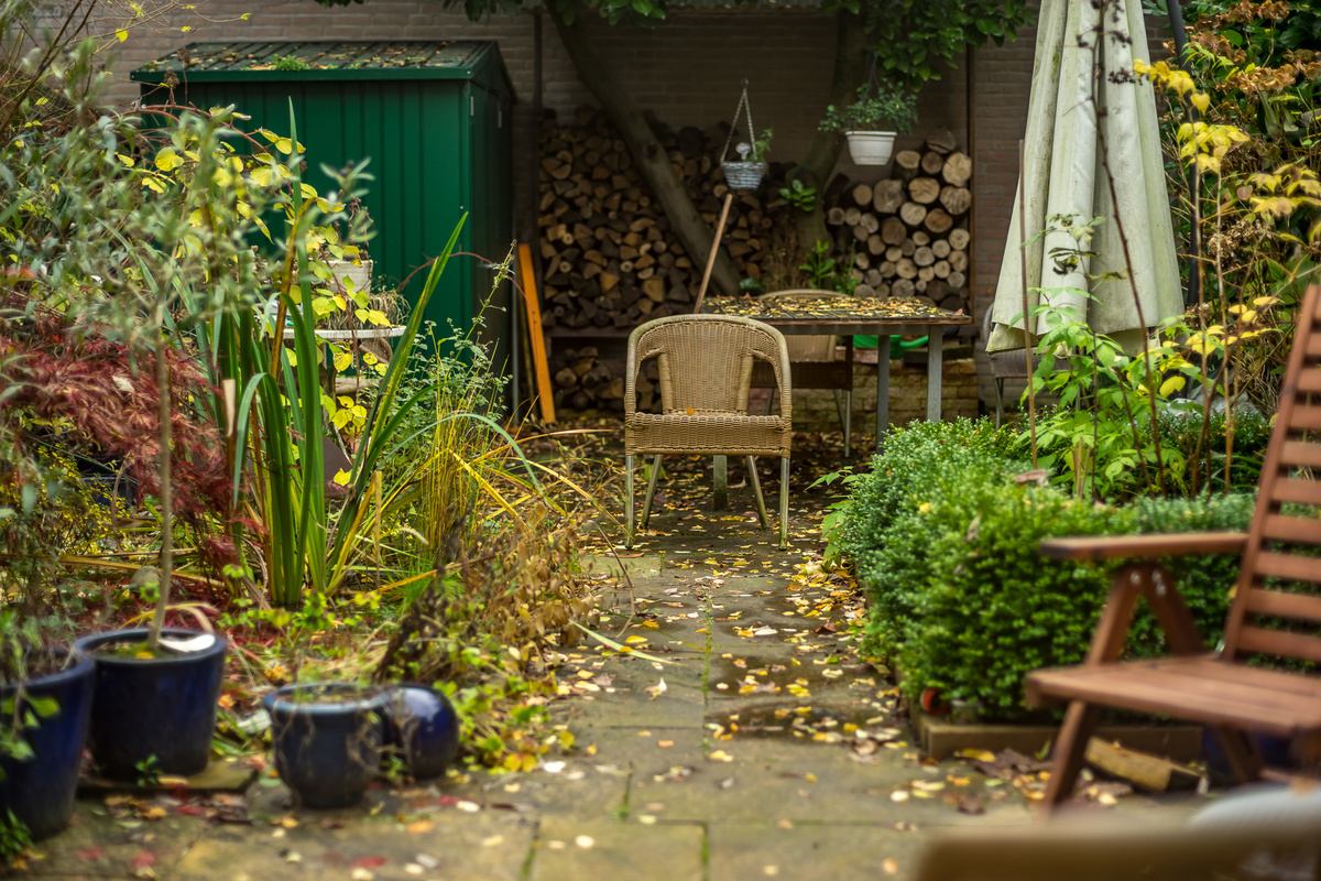20161117-_DSC6744
