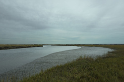 The Great Marsh