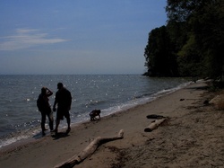 Bay Walk