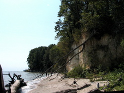 Calvert Cliffs