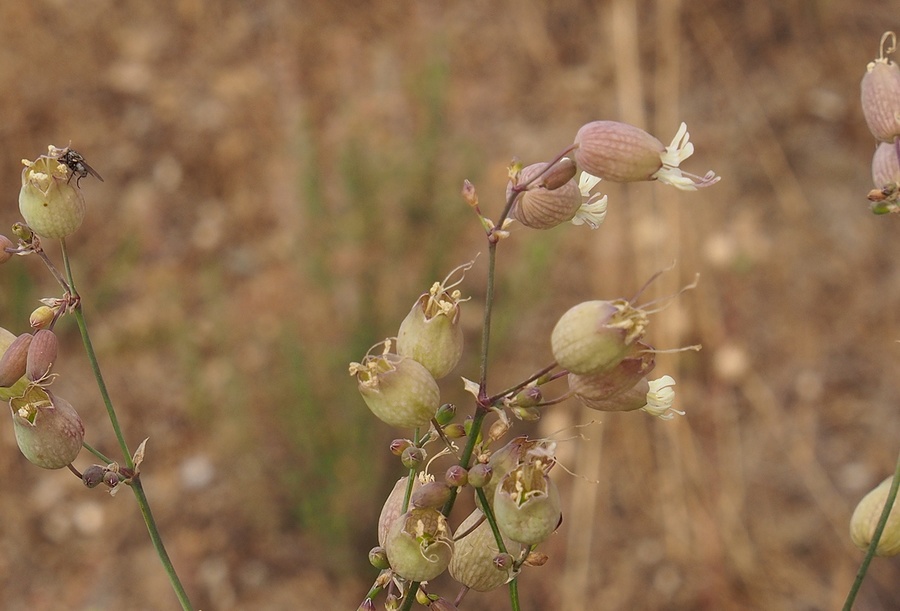 PC144626_cr