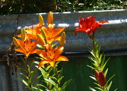 (b) PC280868_cr