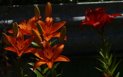 (c) PC280869_cr