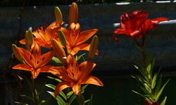 (e) PC280871_cr