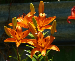 (j) PC280876_cr