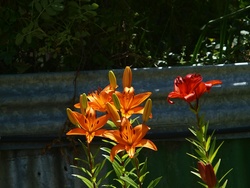 (m) PC280879