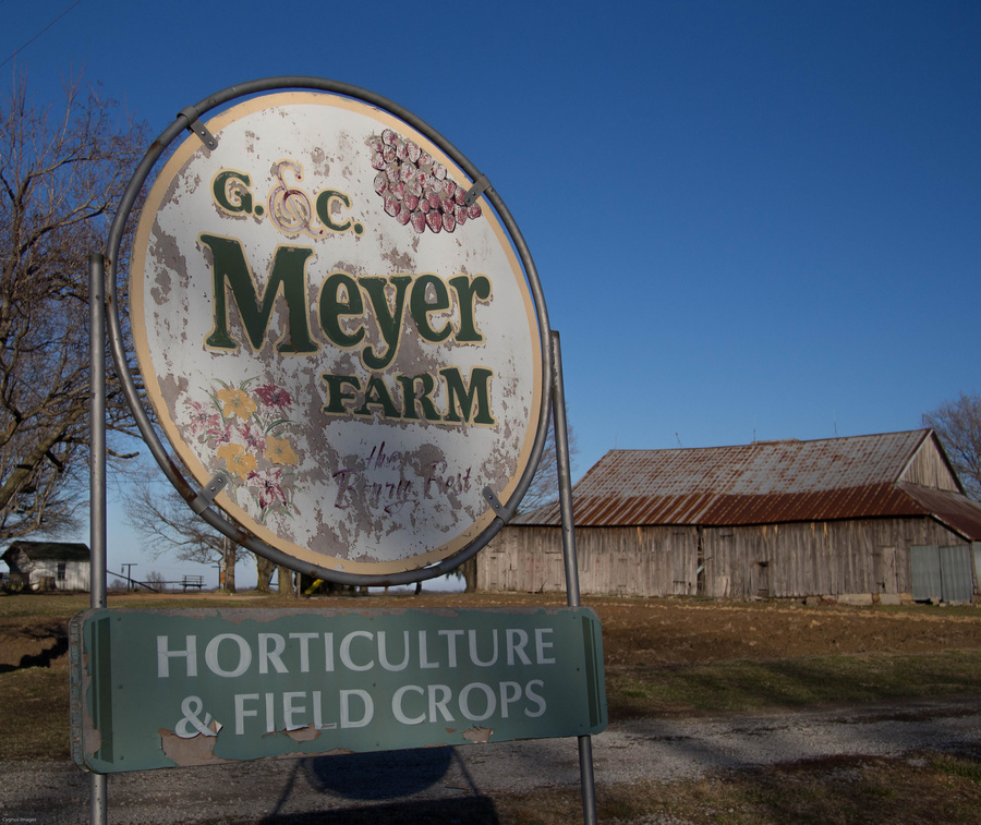 The Family Farm