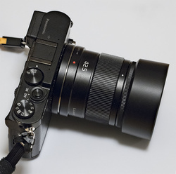 Panasonic GM5 & 42.5/1.7