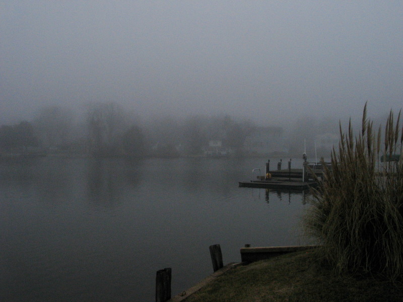 IMG_5435 Fog on the river