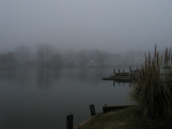 IMG_5435 Fog on the river
