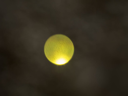 _B005827oofm