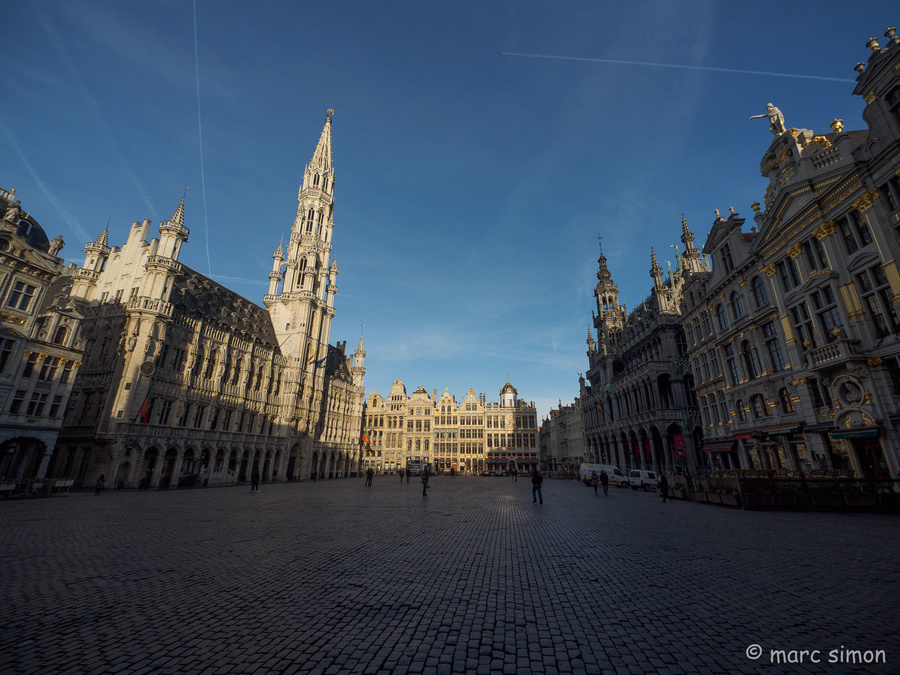 Brussel's heart