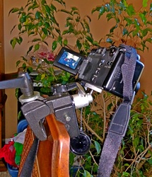 Clamp