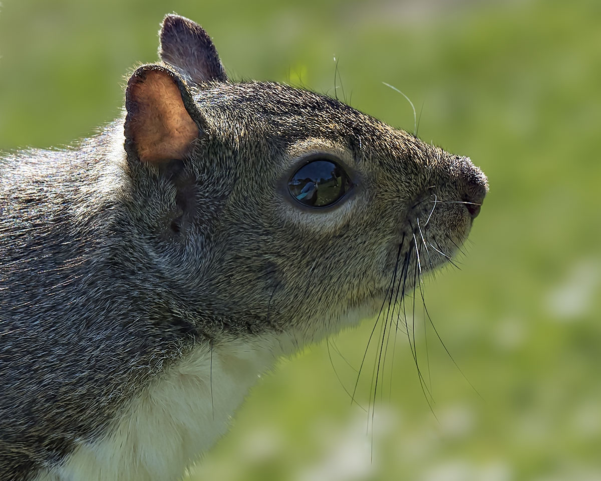 Whatcha Got to Eat? (Cropped)