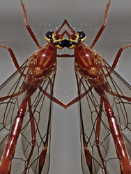 P4030315R2