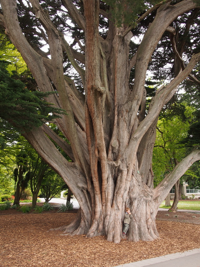 PB074209-1200