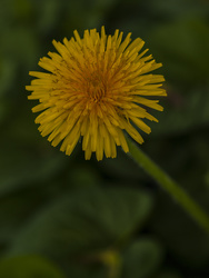 P5061229C6fmDN2A
