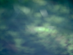 _A004780