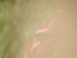 _A006028cr