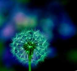 P6250935_edited_2