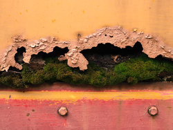 Freight Car Decay