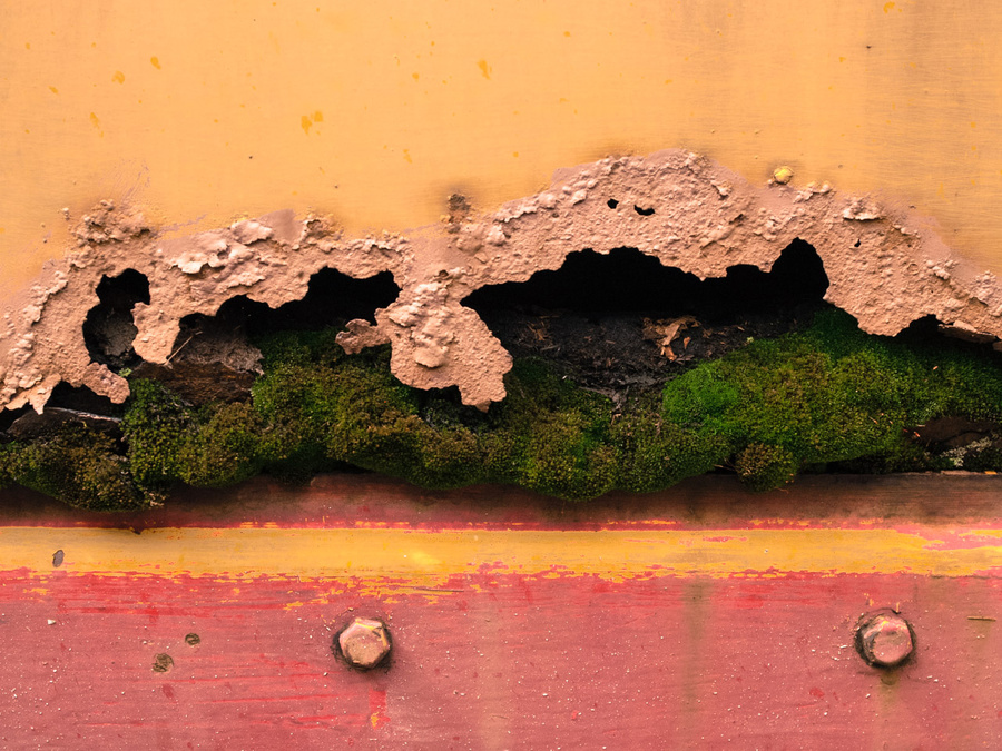 Freight Car Decay