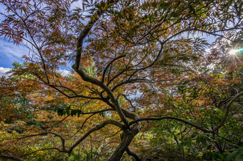 _DSC0311