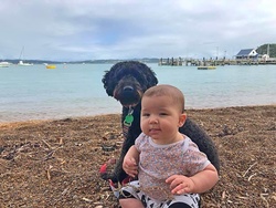James at Coromandel 25-5-2019-sharp