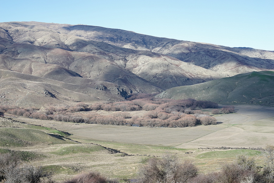 DSC09377-2000-USM20