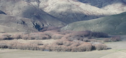 DSC09377_cr-USm20