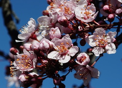 DSC09492_crUSM20