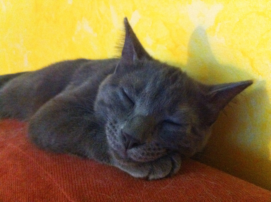 Griff Naps