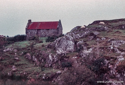 20200327-ireland-0001