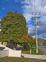 P4130042-2000