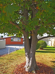 P4130045-2000