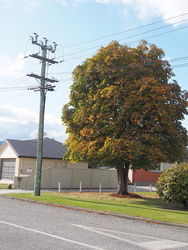 P4130049-2000