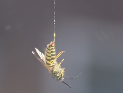 PA112080 (3)