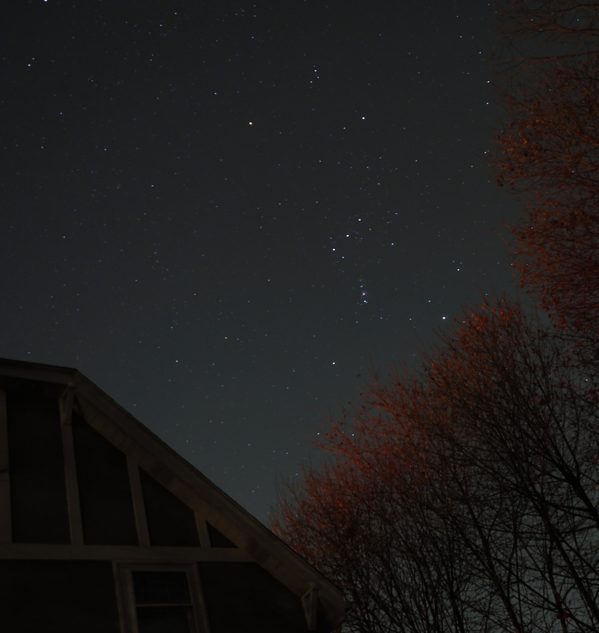 Orion