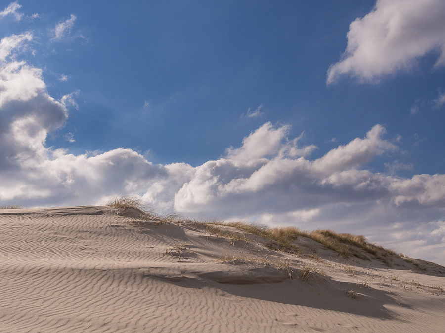 Dune