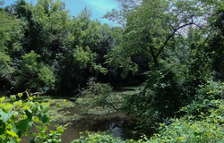 Today's Canal