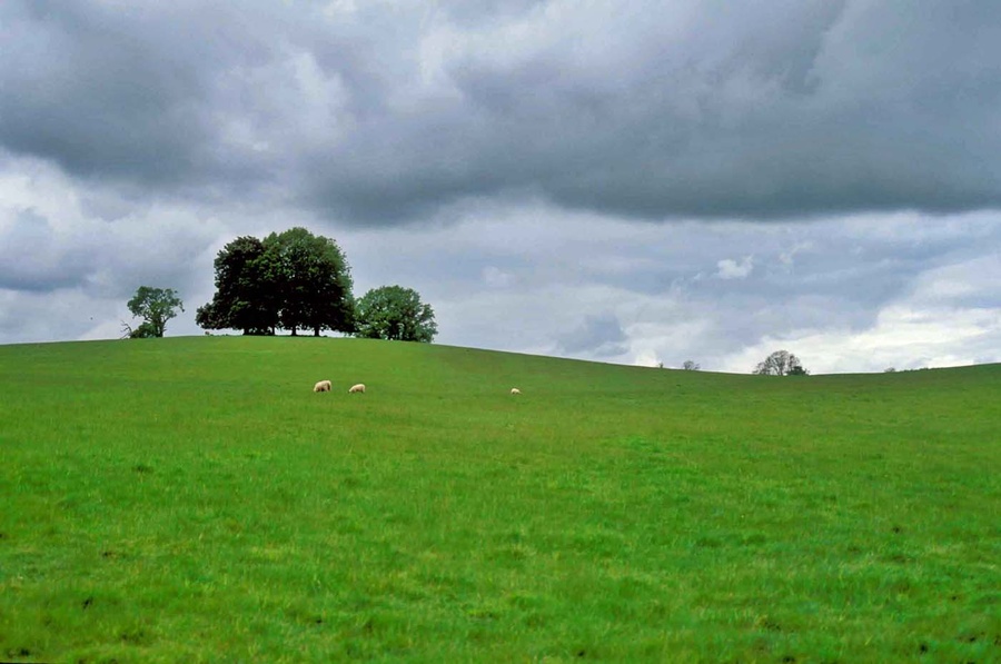 21 - Rolling hills.jpg